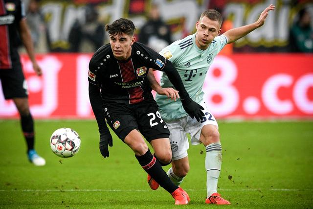 人生履历以 人生履历以