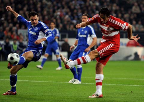 的新高度 的新高度